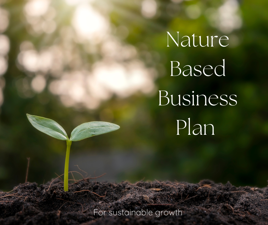 business plan in nature