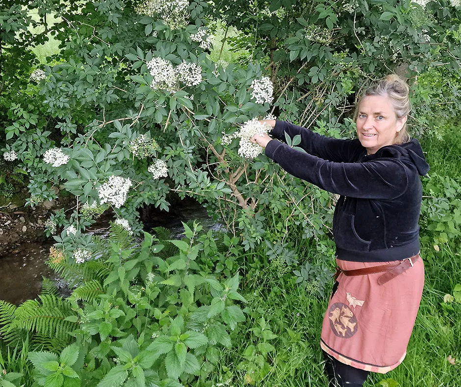 Elder Tree: Folklore, Magic and Champagne - Story Arte